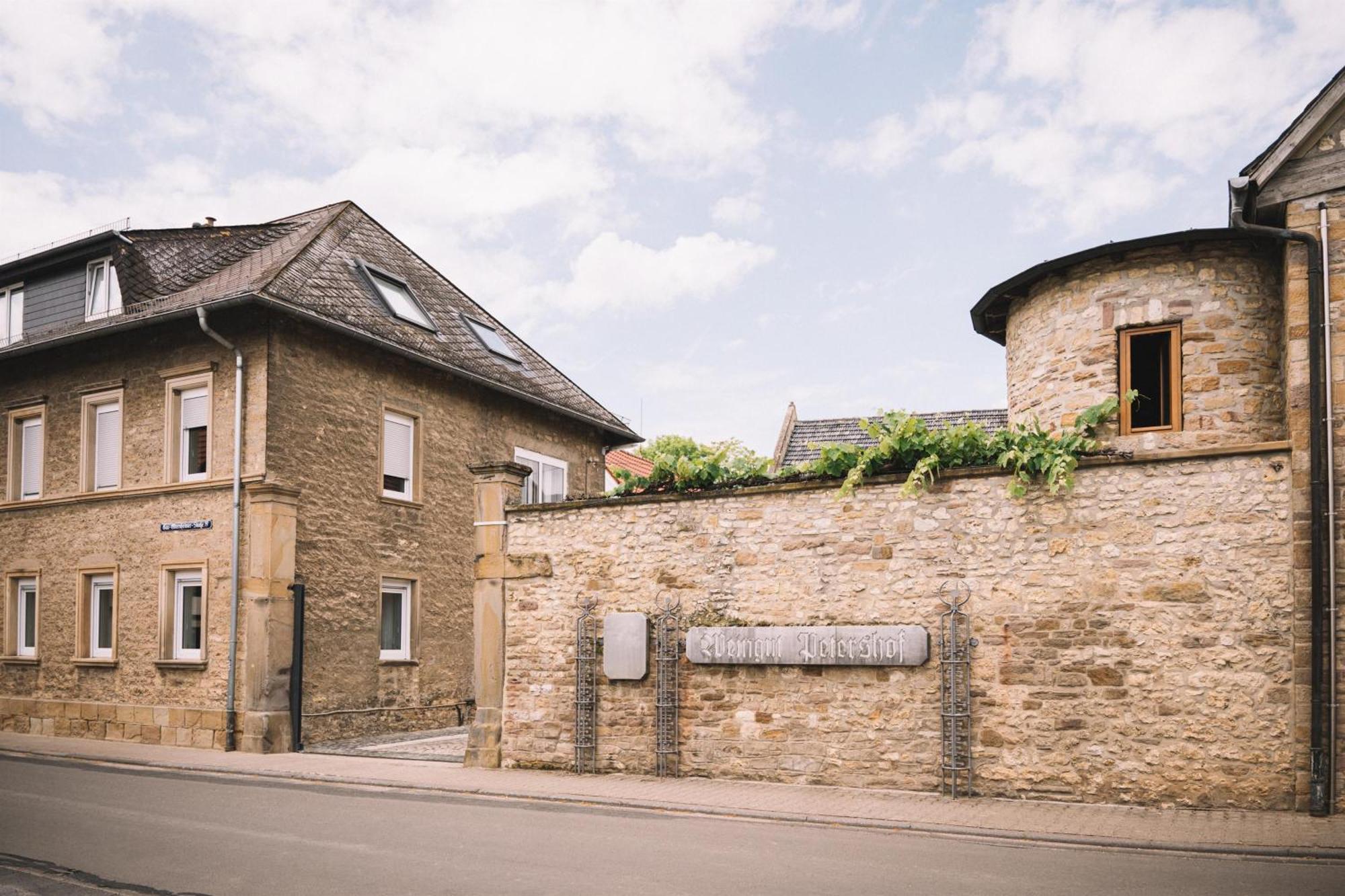Weingut Petershof Appartement Alzey Buitenkant foto